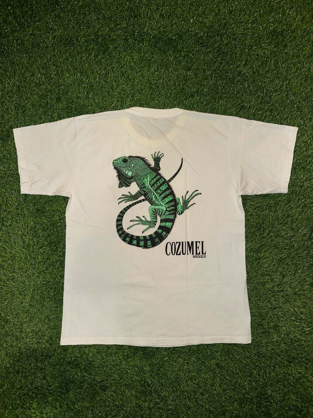 Cozumel Mexico Iguana Lizard Graphic T-Shirt White